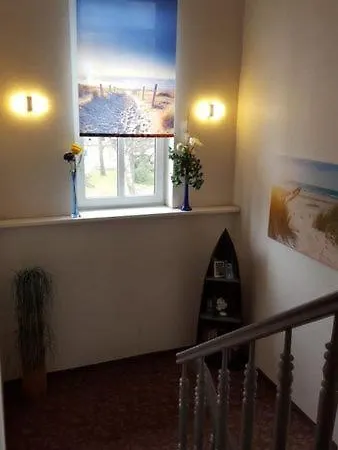 Froehlich 2* بابي